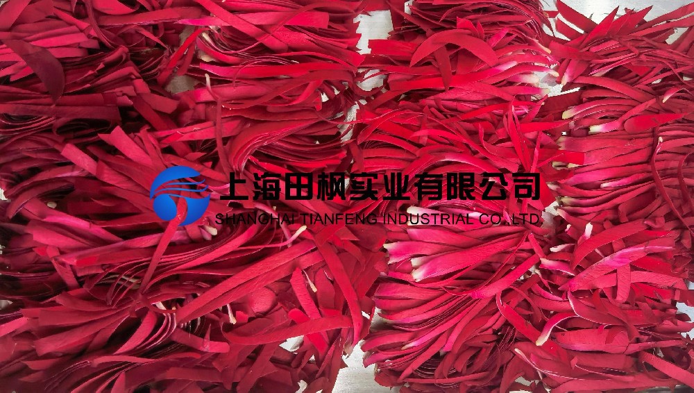 鮮花凍干：鮮花冷凍干燥機應用玫瑰凍干案例